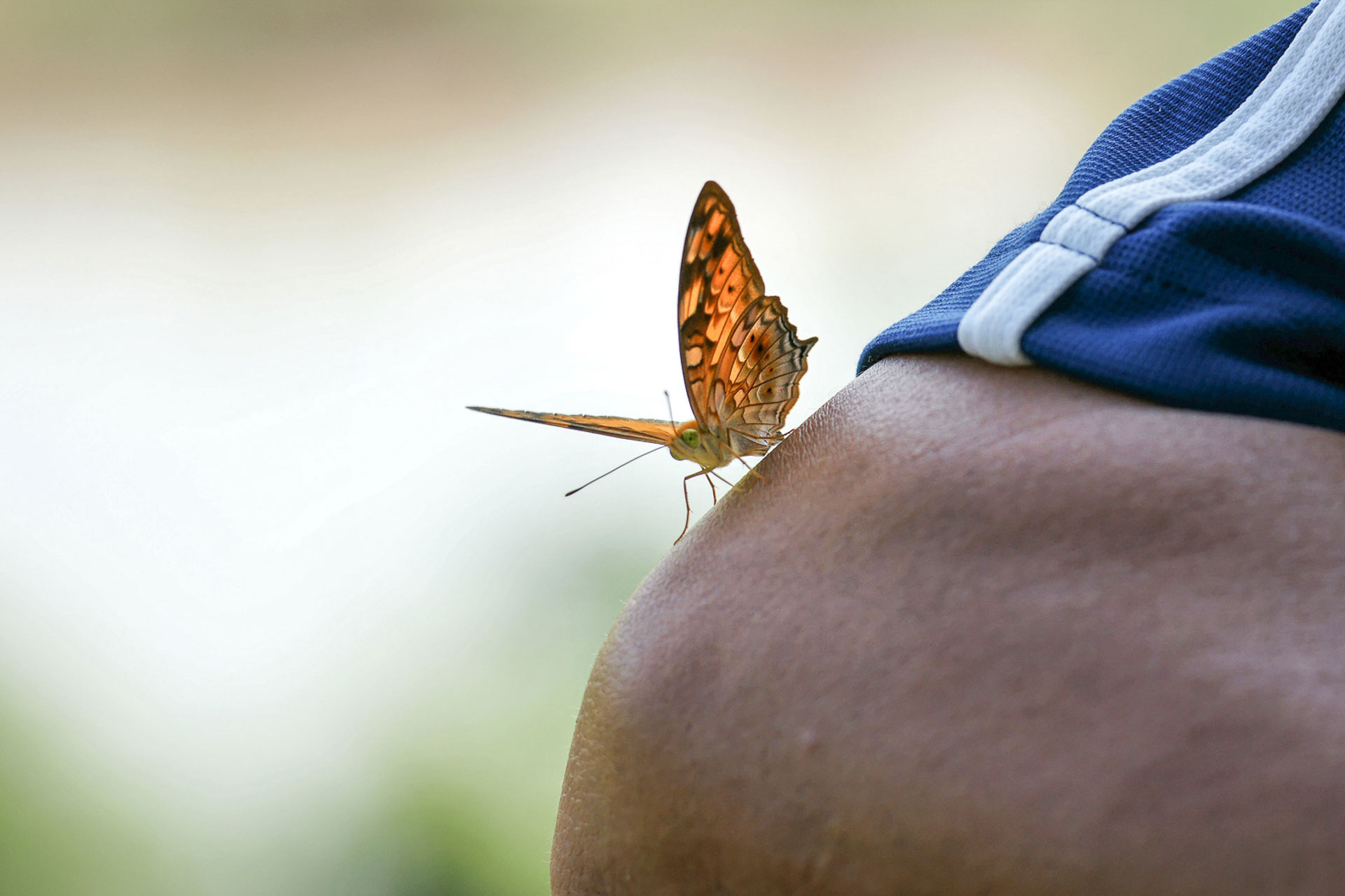 Wanderung im Süden von Vang Vieng